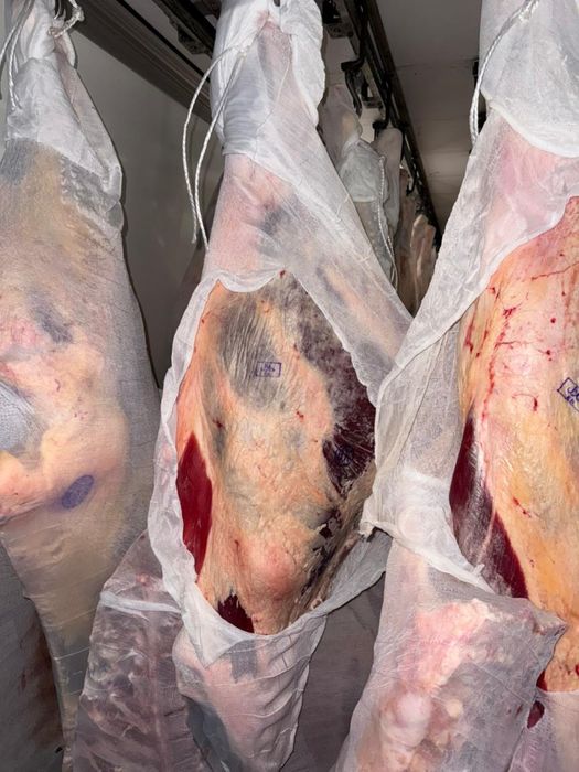 Свежая говядина и конина от надёжной фирмы!