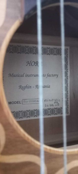 Chitara Hora Reghin