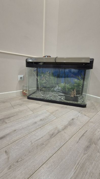 Аквариум для рыб