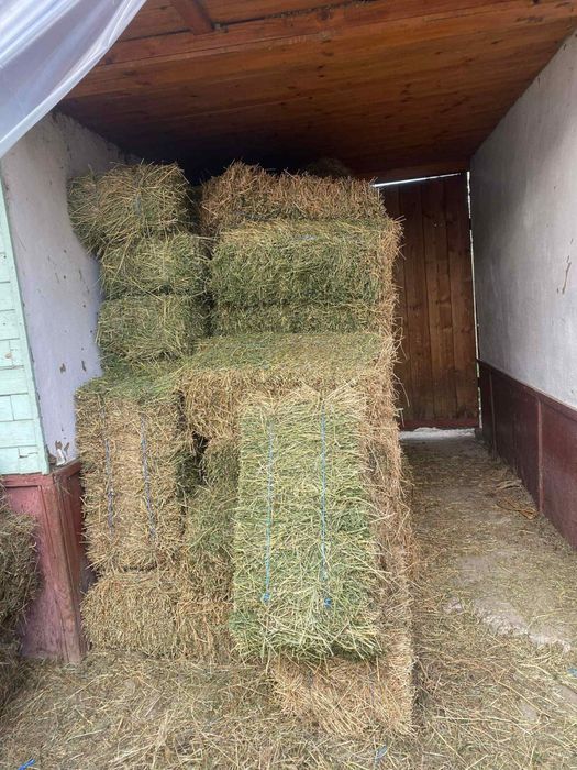 Baloți-fân-lucernă-otavă