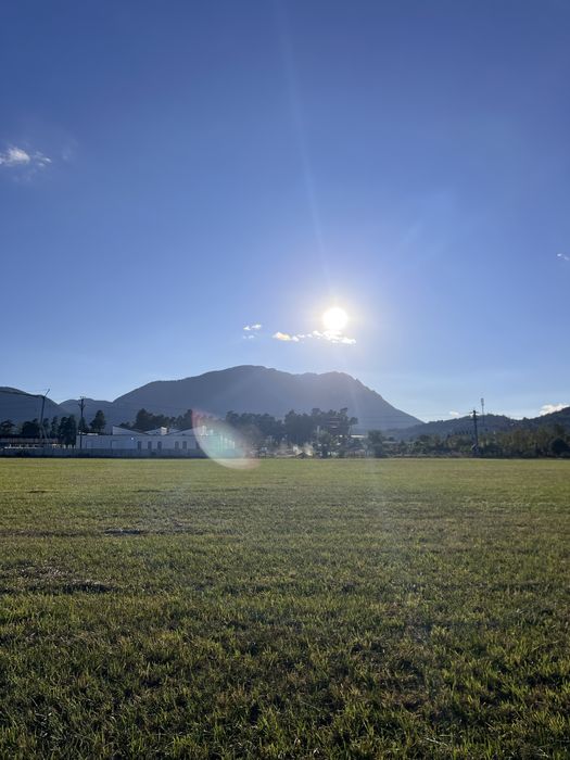 Case si teren de vanzare