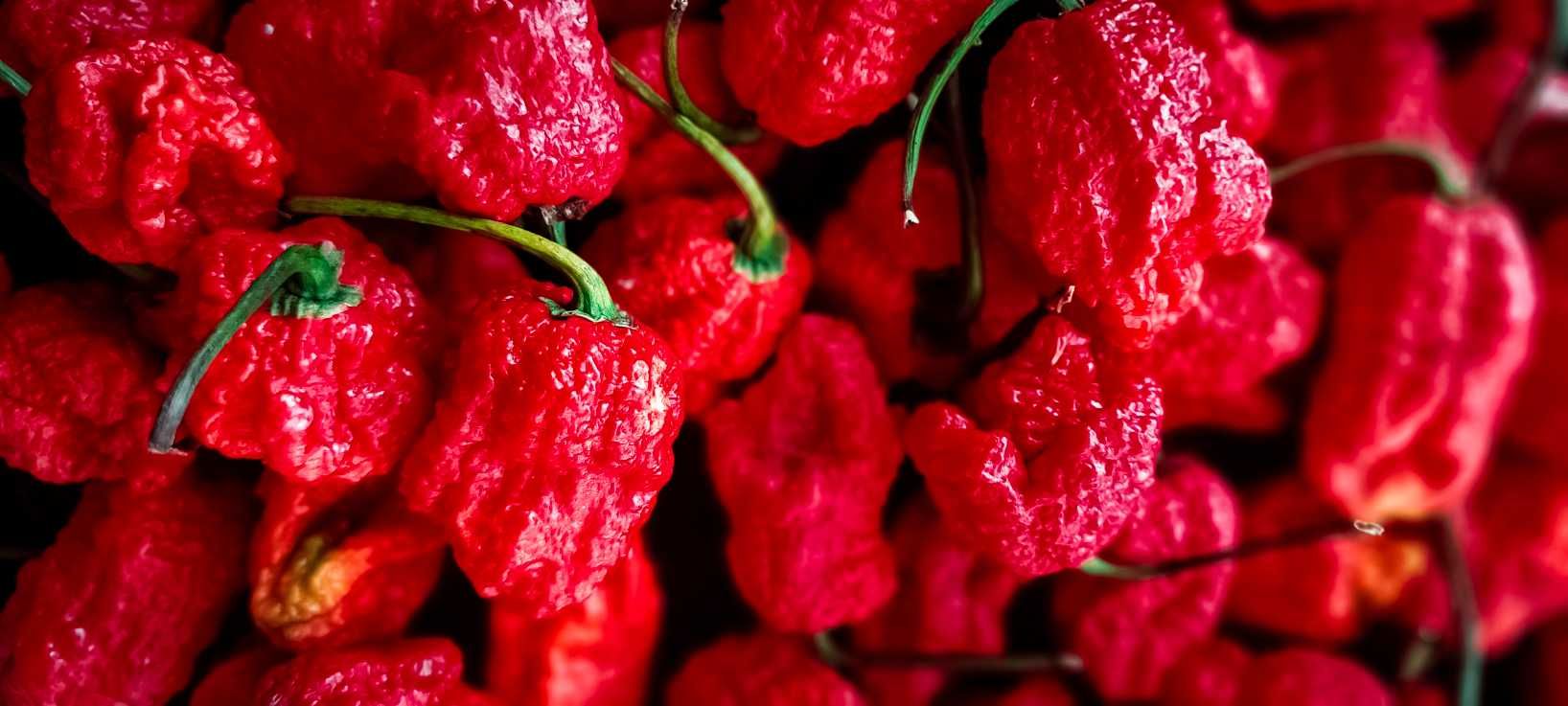 Най-лютата чушка в света – Carolina Reaper (само сушени)