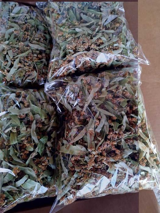 Сушен липов цвят- реколта 2025 г.