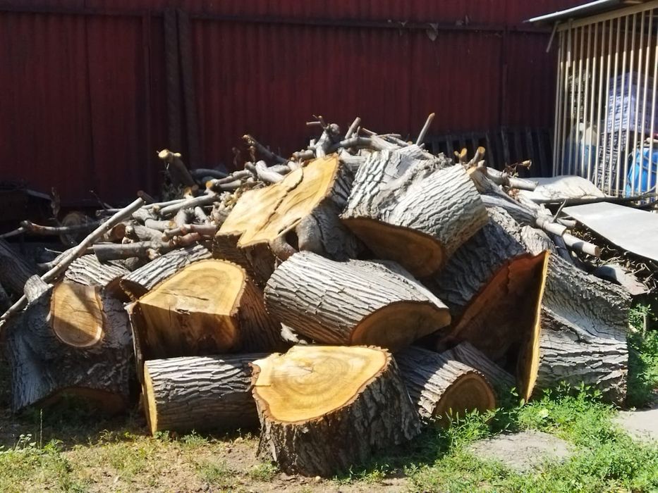 Продам дрова (ОРЕХ) в чурках
