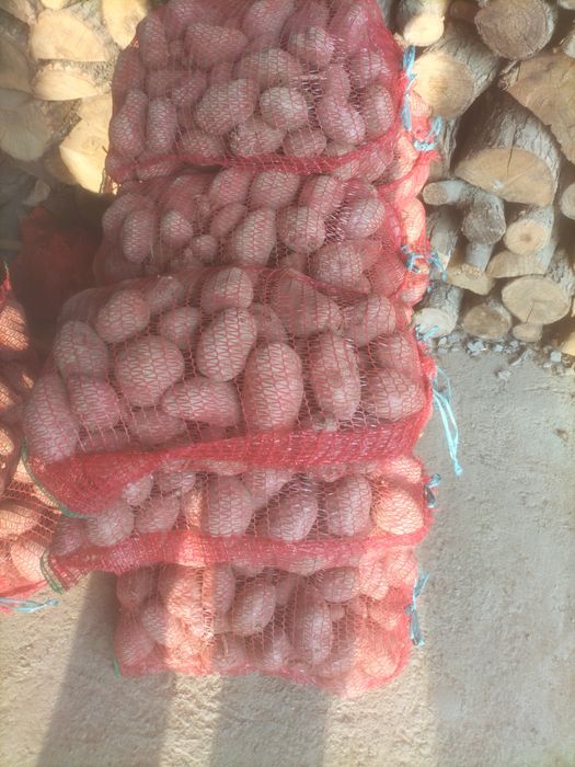 Cartofi de vanzare consum si pentru animale