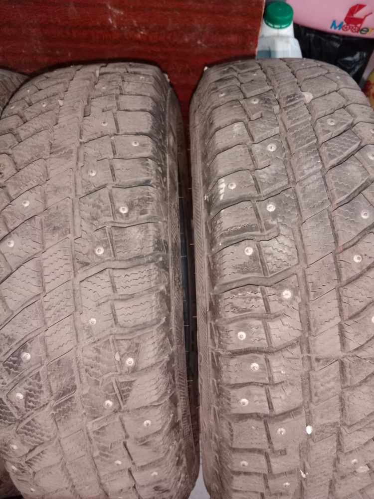 Продам резину шипованую