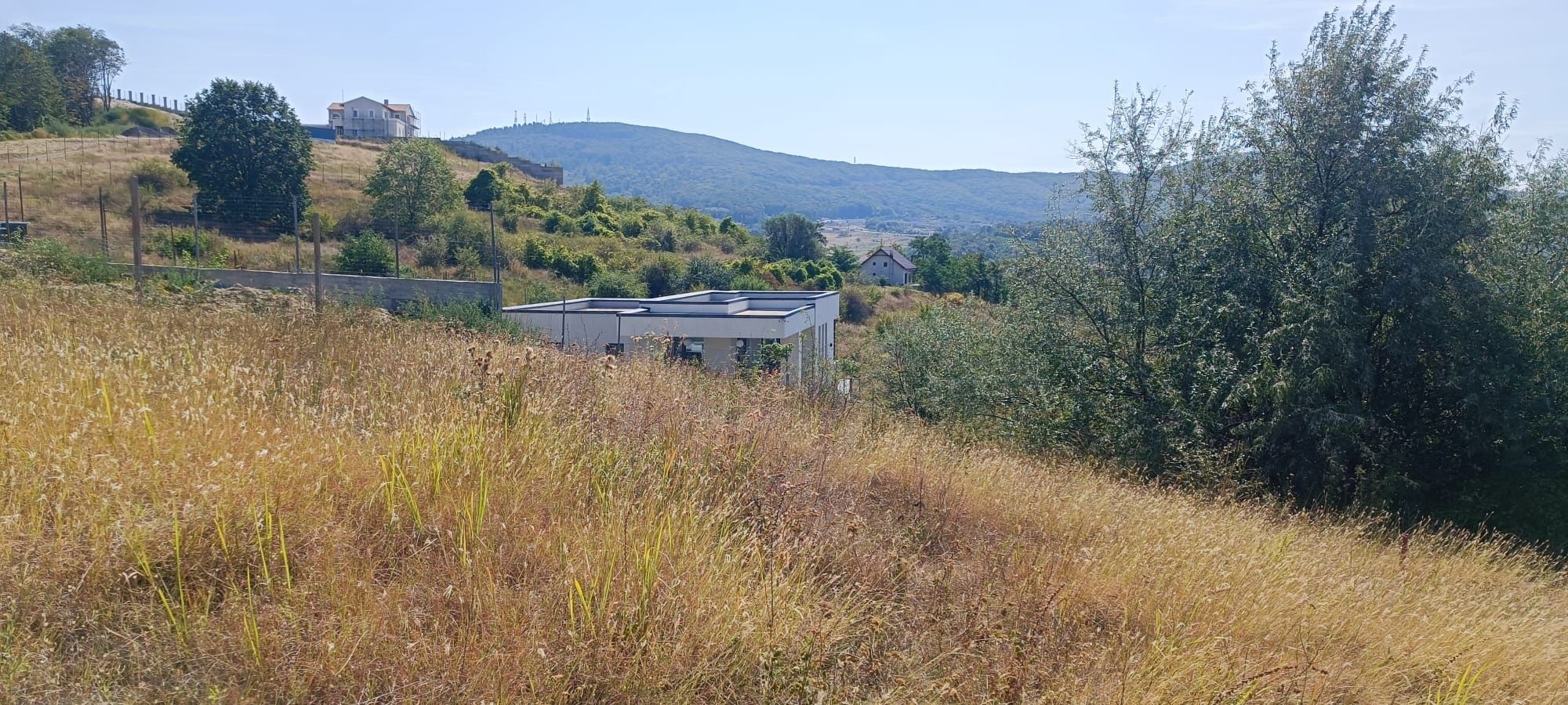 Vând teren intravilan livadă Mesés 10 ari