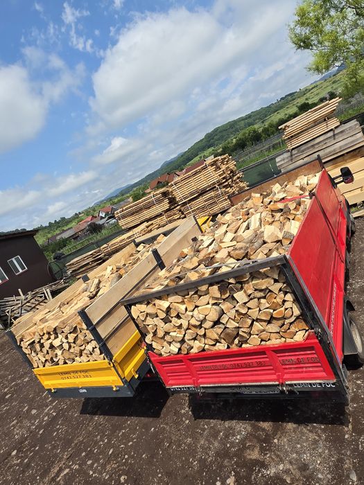 Lemn lemne de foc uscate tăiate crăpate