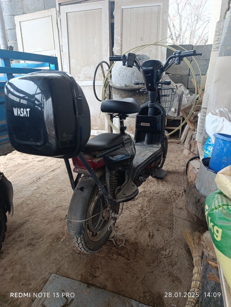 Wasat skuter 2024