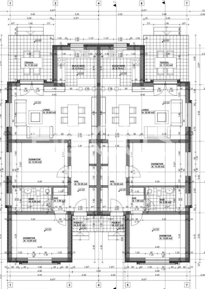 Vand 1/2 Duplex Sanmihaiu Roman