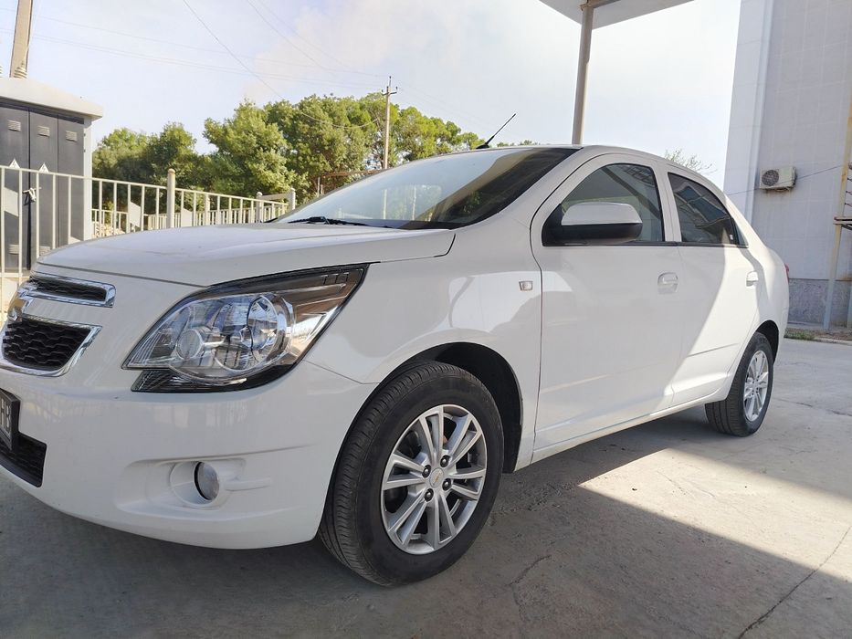 Cobalt Sotladi Srochna