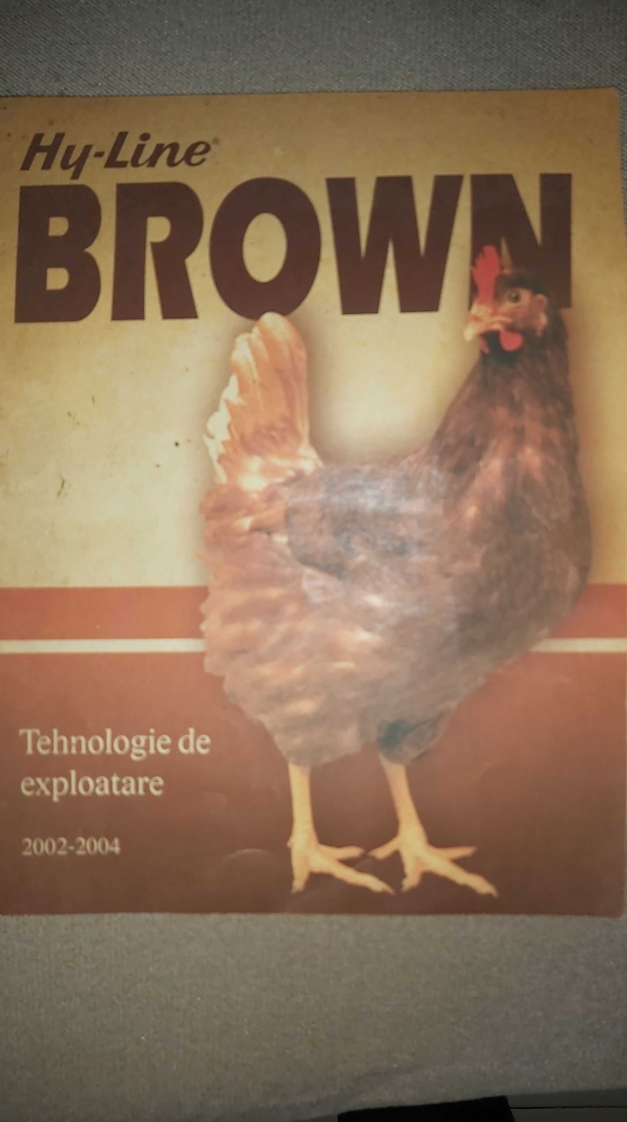 Găini ouătoare rasa hy-line brown