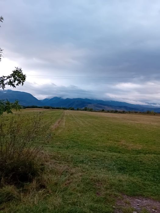 Teren Parc Fotovoltaic