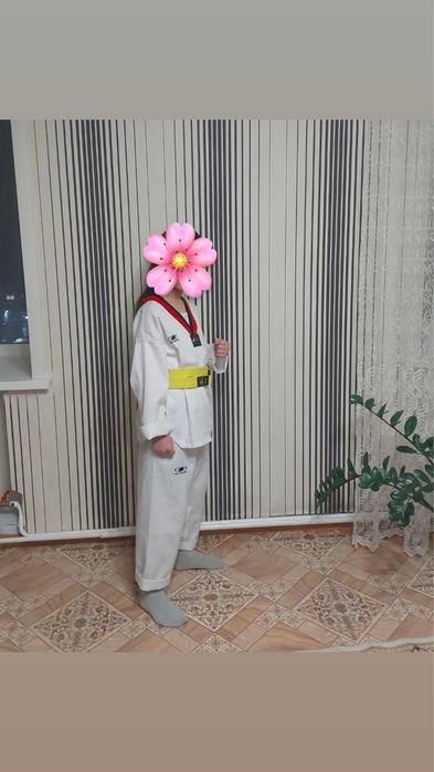 Кимоно и защитные экипировки