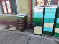 Capac pentru stup