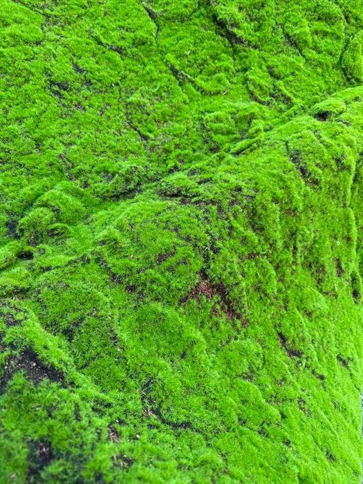 Изкуствена зеленина за декорация