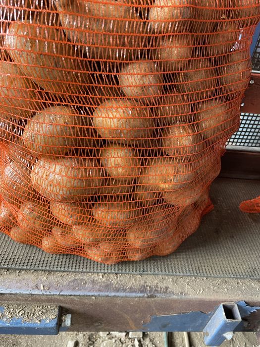 Cartofi consum proaspat