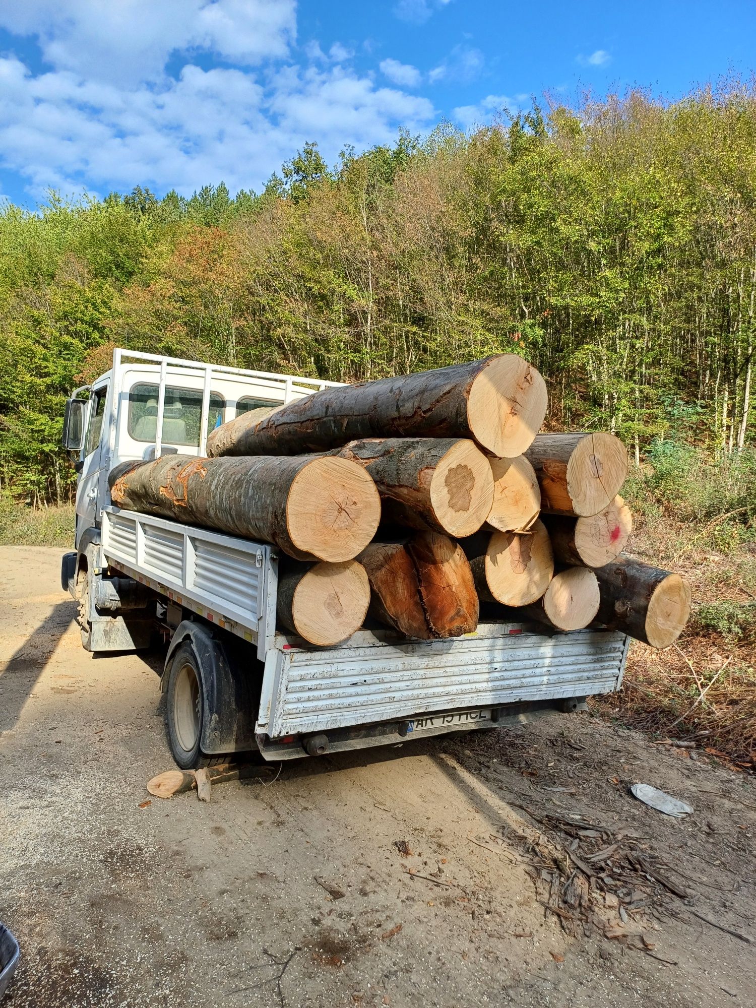 Lemn de foc la domiciliu