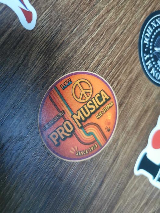 Stickere formatia  Pro Musica