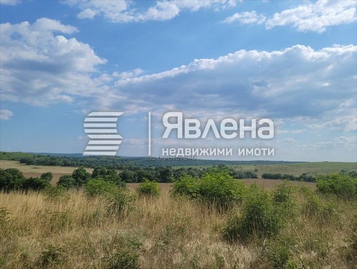 Продава се Парцел в с. Светлина, Област Бургас - 3380 кв.м за 11 €/кв.м - Снимка #2