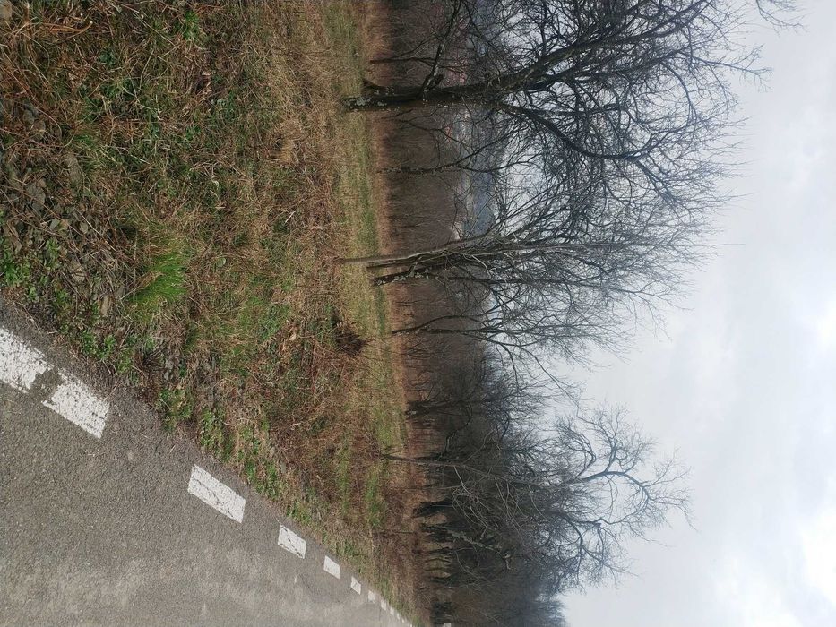 Teren 2400mp Criseni, Salaj