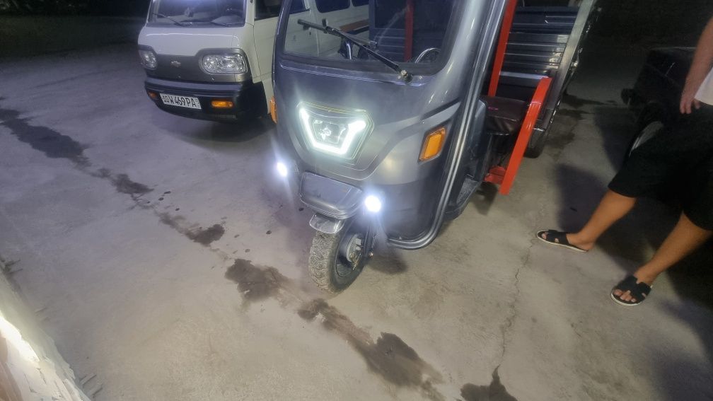 Elektroni murave