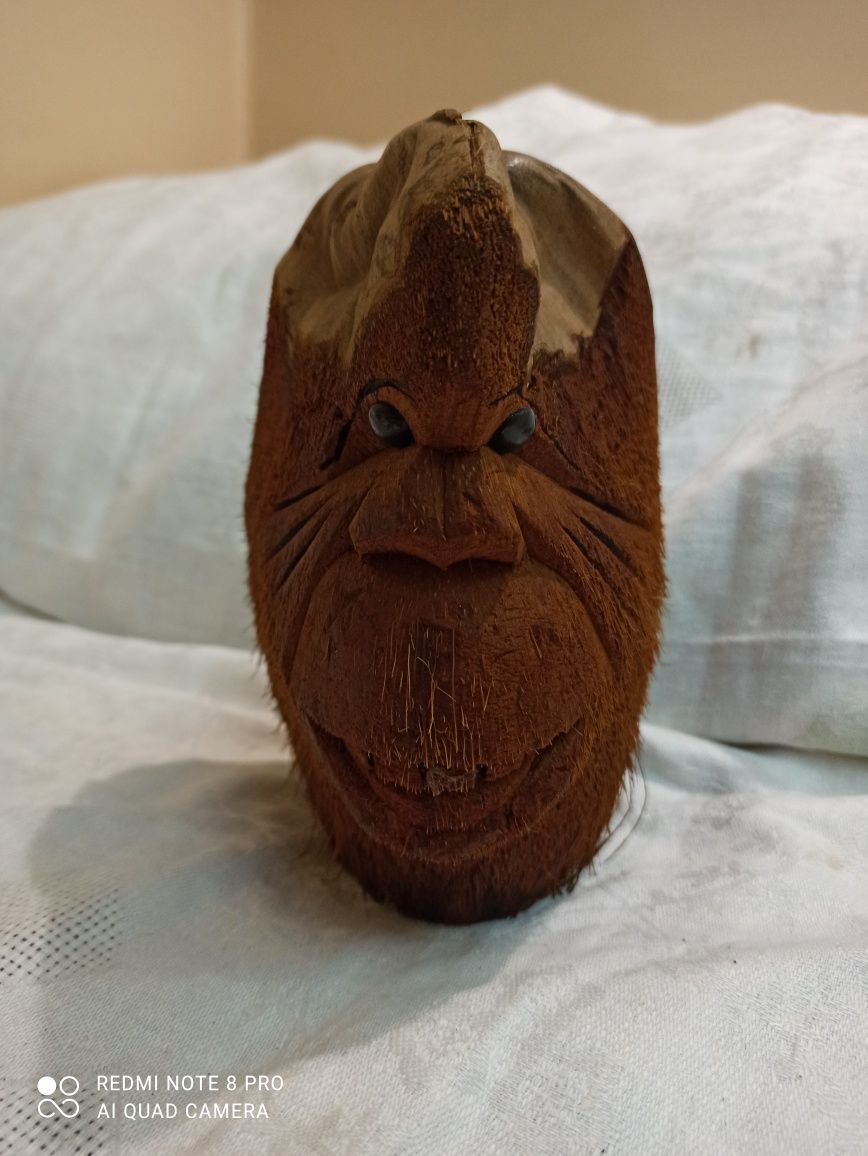 кокосова глава на маймуна