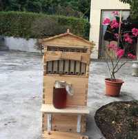 Stup albine autorecoltare miere transport gratuit