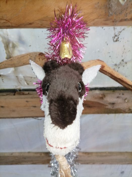 Vând capra tradițională de colindat