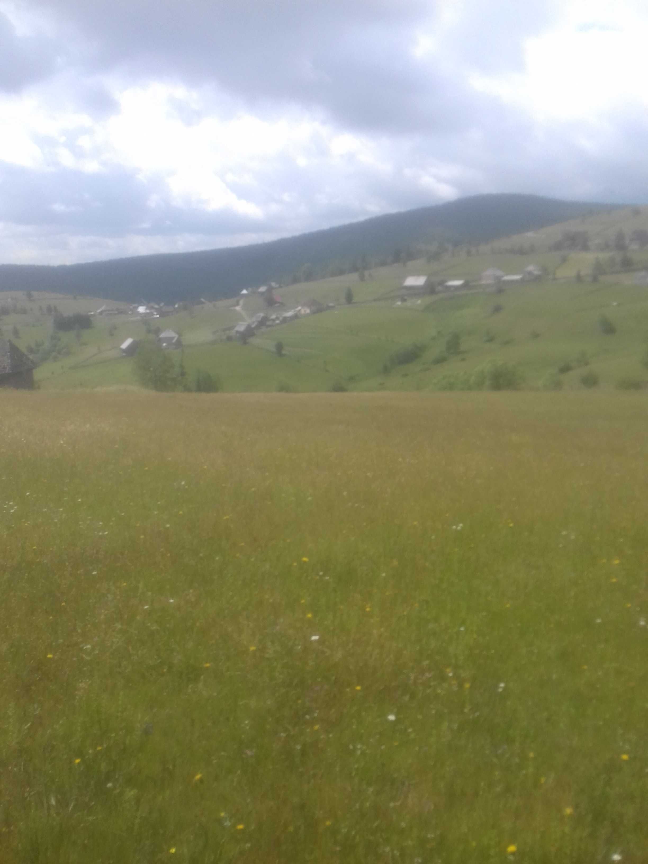 Vând parcelă teren 1000mp. la Maguri