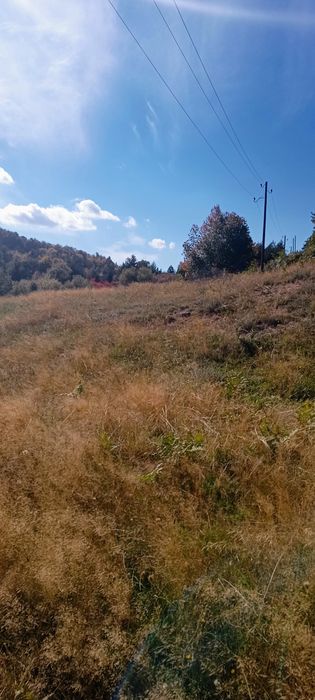 Продава се Земеделски имот в с. Сивино, Област Смолян -  кв.м за 1900 €/дка - Снимка #7