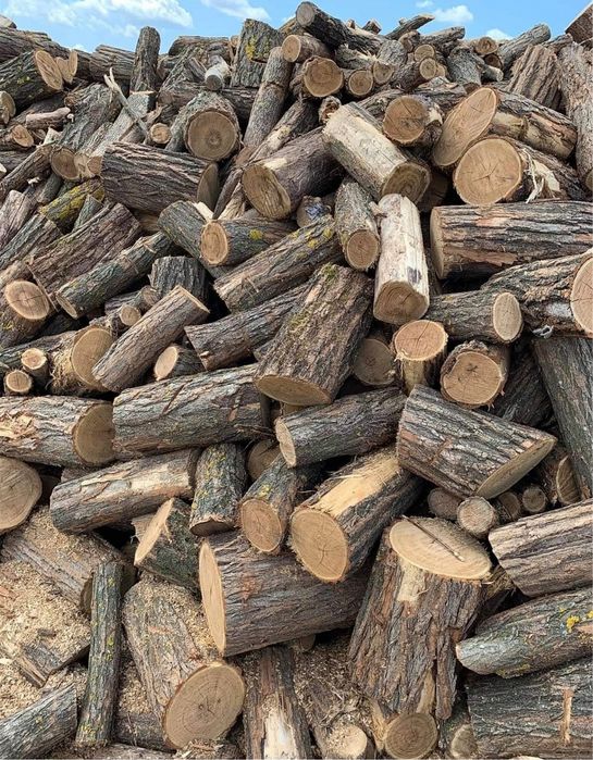 Lemne de foc eseta tare