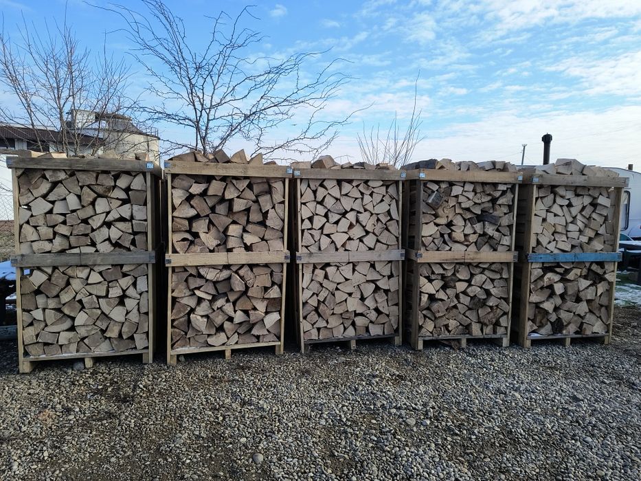 Lemn foc fag paletizat, sau buștean