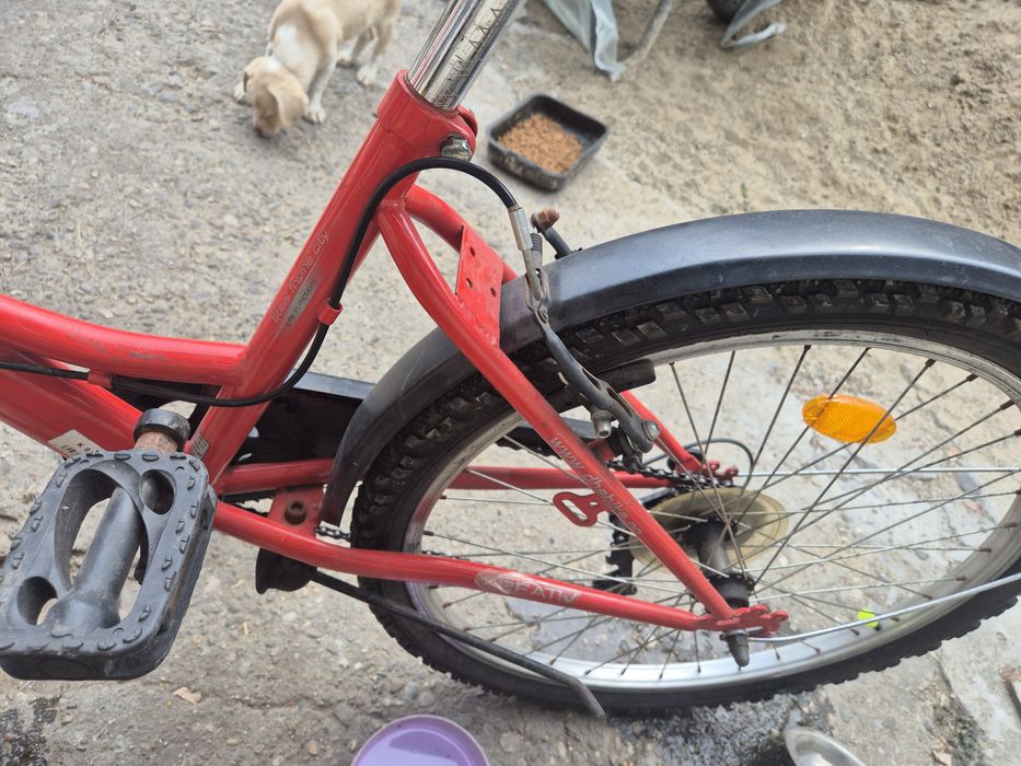 Bicicleta Kreativ special