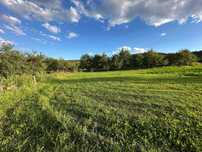 Teren intravilan 950 mp Corușu – panorama spre pădure