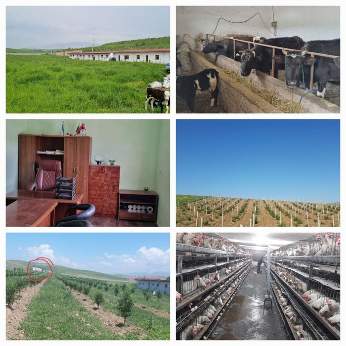 Хурматли Тадбиркорлар Сизлар Учун Ажойиб Таклиф АГРОКОМПЛЕКС ВА ФЕРМА