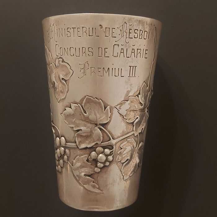 trofeu argint premiu concurs