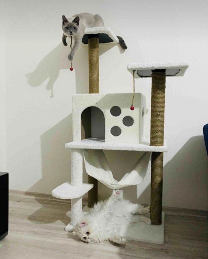 Катерушка за котки