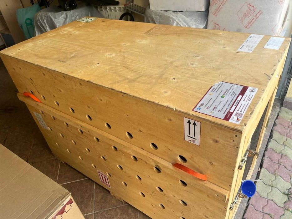 Cusca caine talie mare transport avion - Big dog special crate IATA