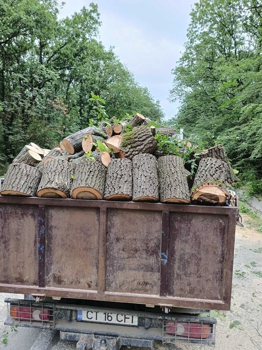 Lemn de foc esență tare (stejar)