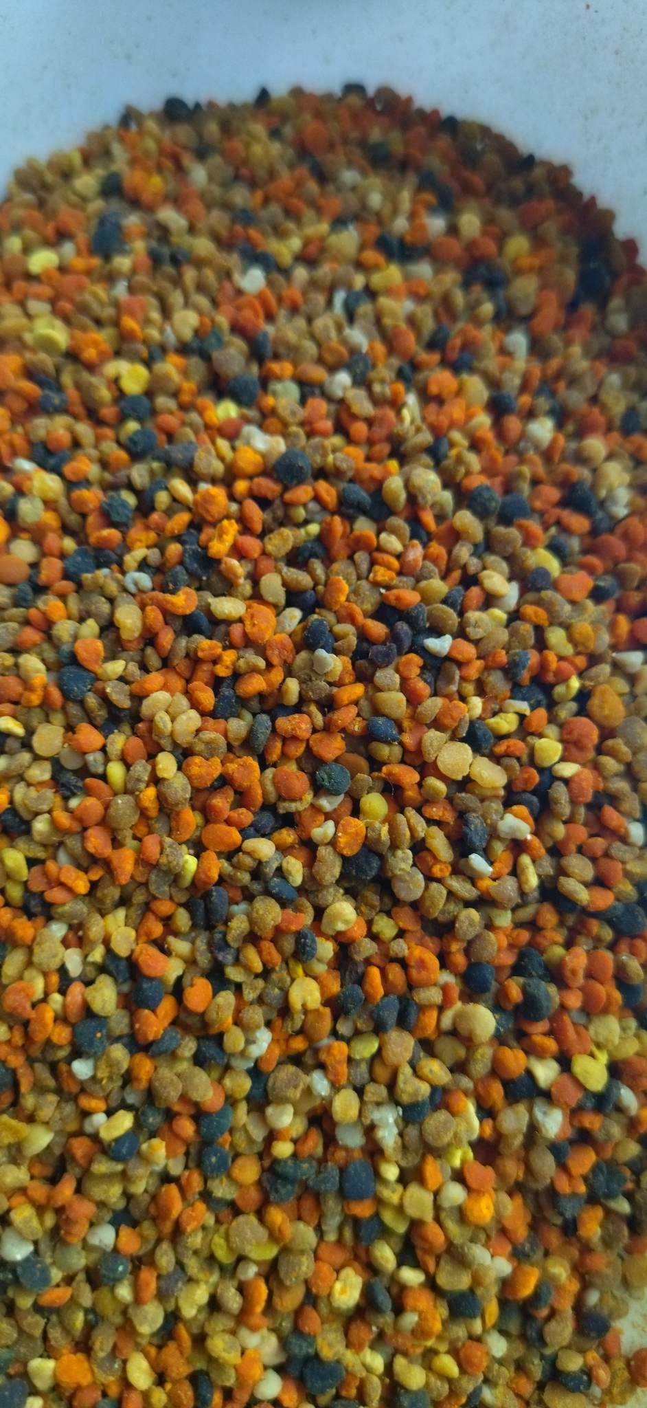 Propolis, Polen Crud/Uscat,  EN-GROS sau EN-DETAIL , PĂSTURĂ crudă,  d