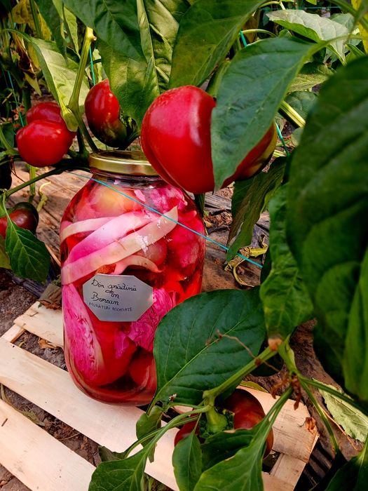 Muraturi "din gradina în borcan"