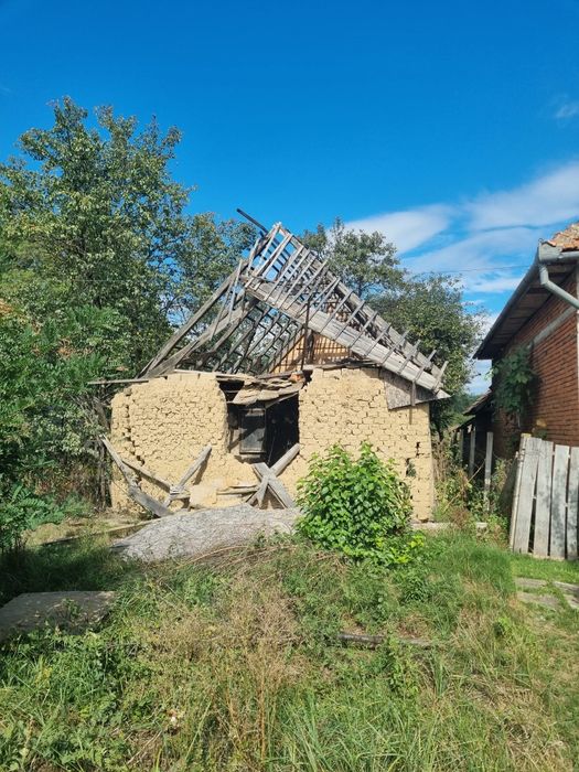 Lemn construcții peste 100 ani
