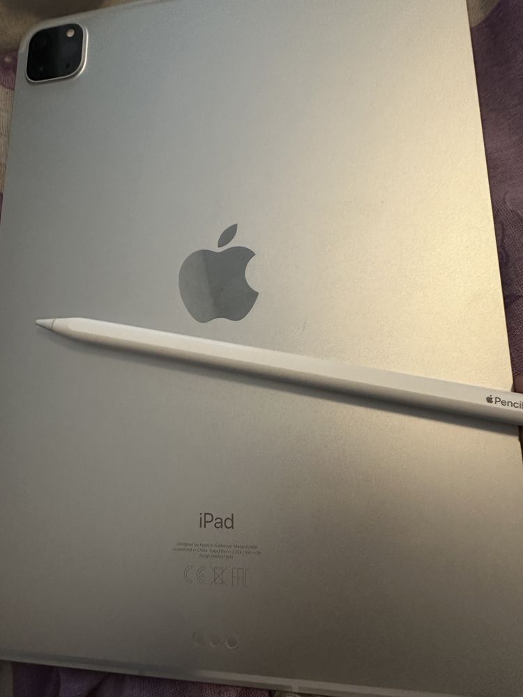 iPad pro 11 inch