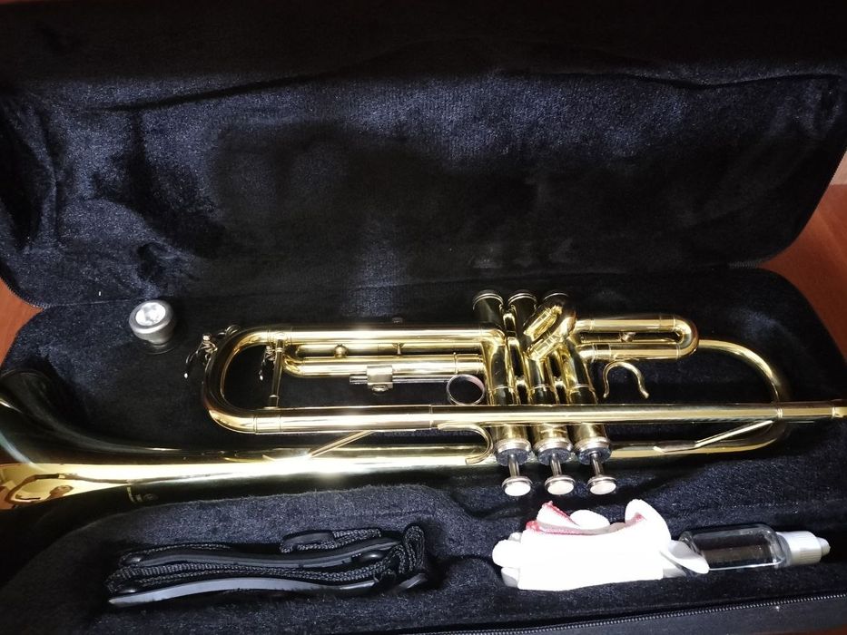 Truba sotiladi muzikalniy instrument