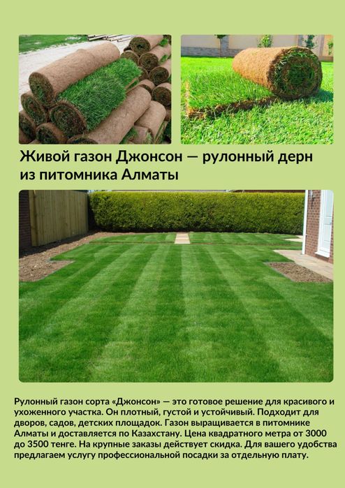 живой газон рулонный дерн Астана Алматы Тараз Шымкент Оскемен Семей