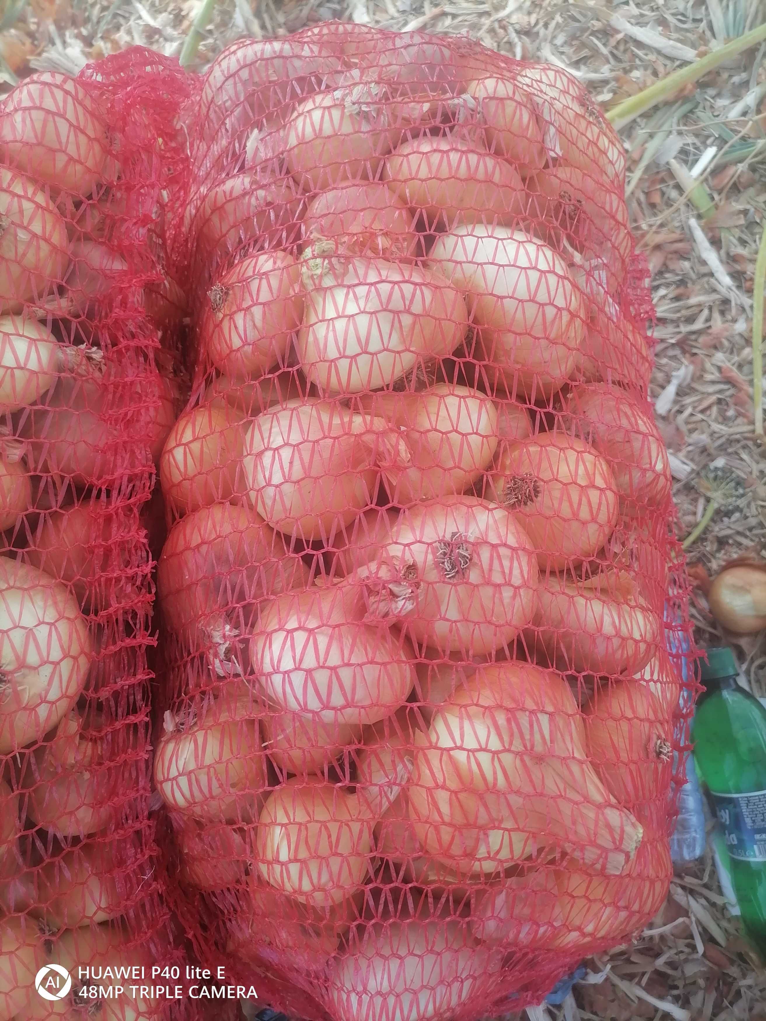 Продавам български лук