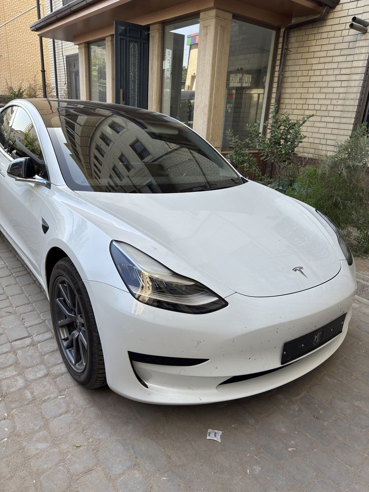 Tesla Model 3 Standart drive