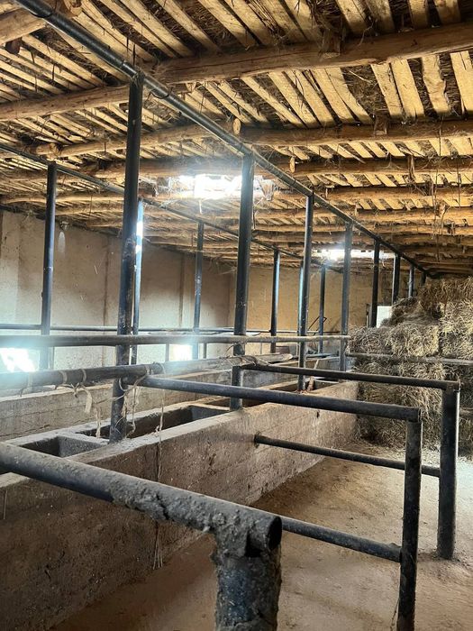 Келес кук терак шинамгина бизнес уч