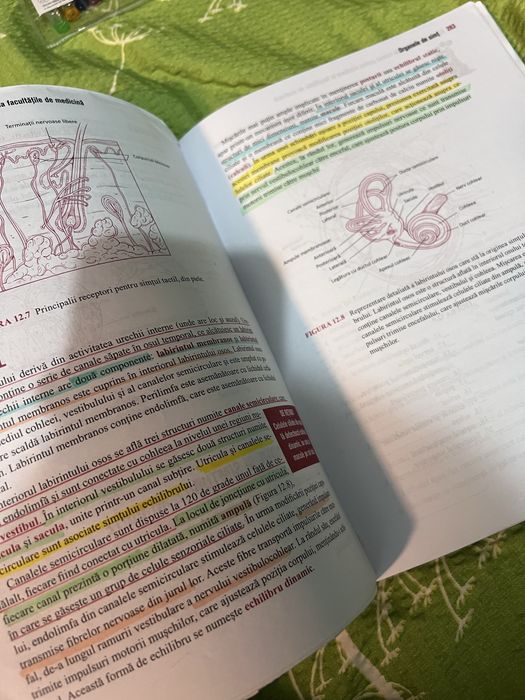 Barrons(anatomie si fiziologie)